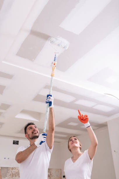 Dehumidification Services in Toro Canyon, CA
