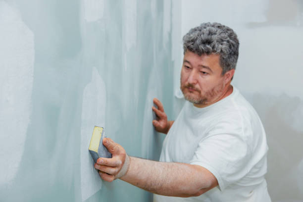 Mold Remediation for Rental Properties in Toro Canyon, CA